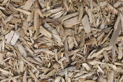 biomass boilers Dundrum